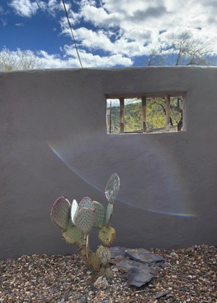 Mar 30 - Love this "peek-a-boo" in my neighbor's perimeter wall.